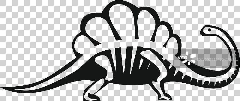 黑白色的棘龙骨架行走图片素材