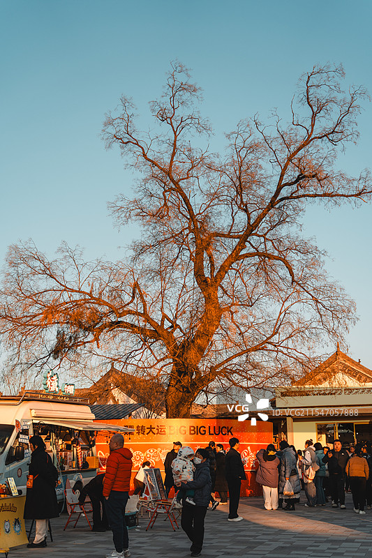 冬季新春市集的大树与人群图片素材