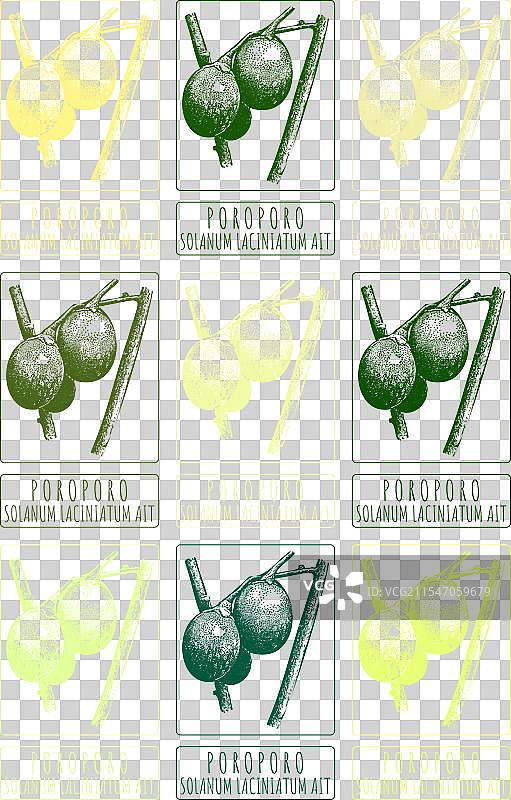 各种颜色的手绘波罗波罗图集图片素材