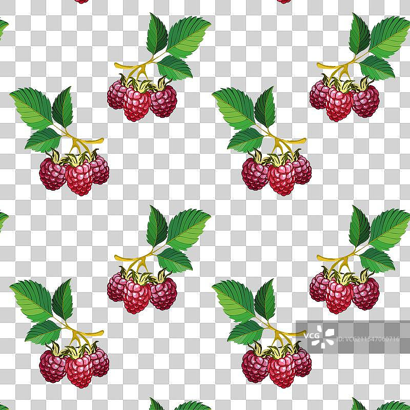 带有覆盆子的条纹背景图片素材