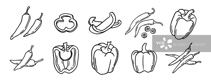 红辣椒和甜椒涂鸦手绘图片素材