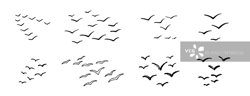 天空中飞翔的鸟群线条，墨水风格的粗糙效果图片素材