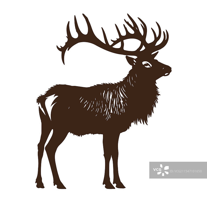 白色背景上的驼鹿剪影图片素材