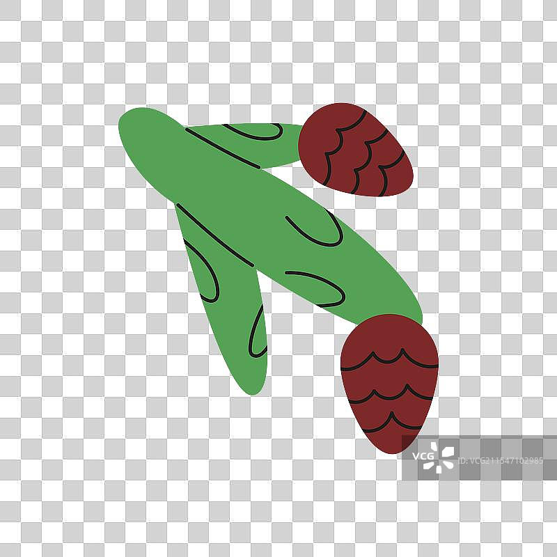 带有松果的冷杉树枝图片素材