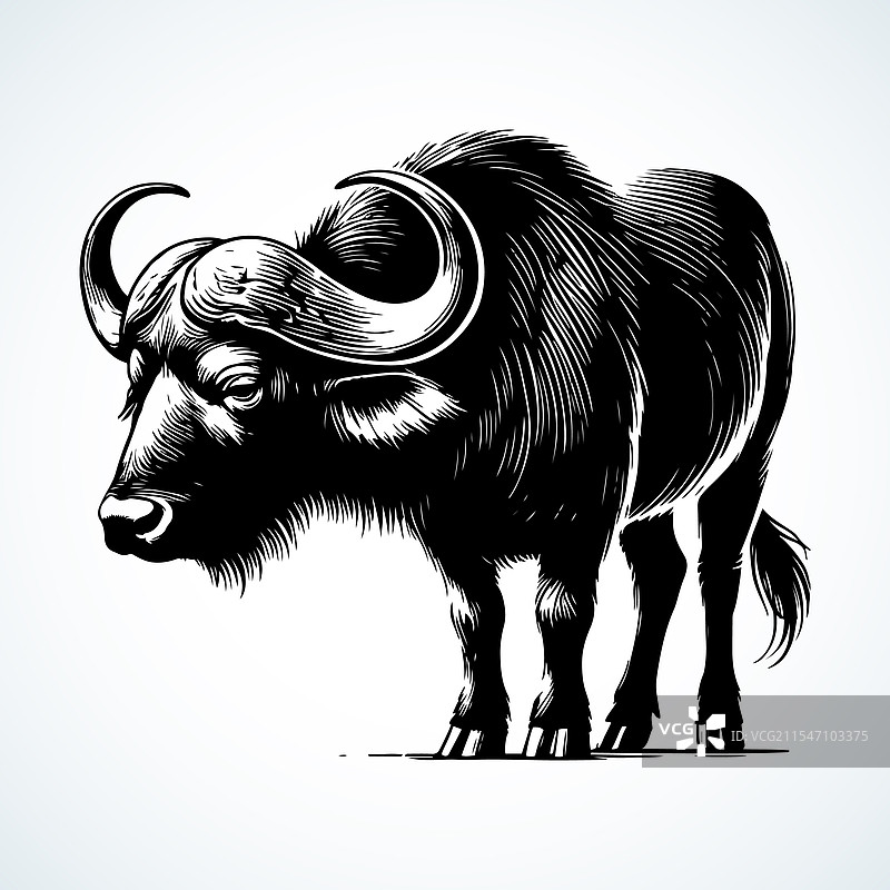 水牛剪影图片素材