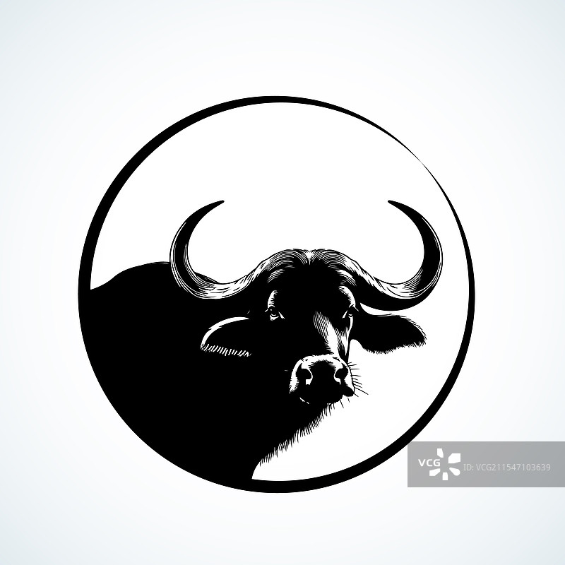 水牛剪影图片素材