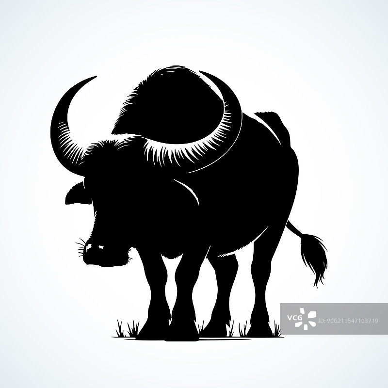 水牛剪影图片素材