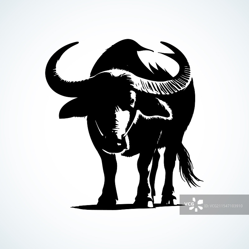 水牛剪影图片素材