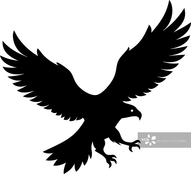 飞翔的鹰图片素材