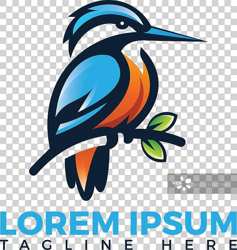 现代翠鸟鸟类的标志设计图片素材