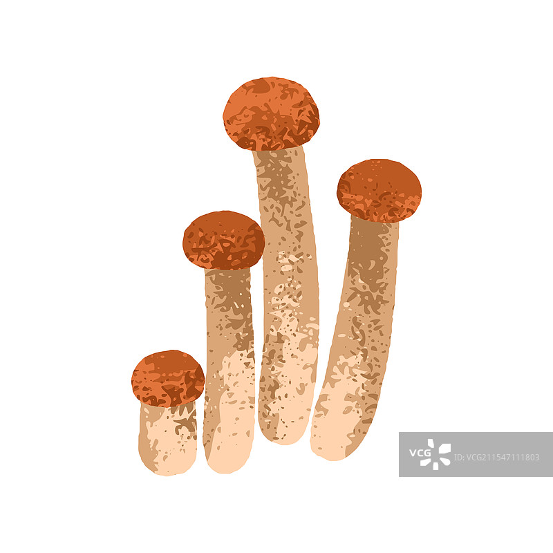 秋季森林中的蜜环菌簇图片素材