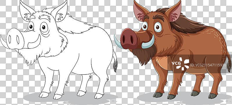 两阶段的野猪素描供上色使用图片素材