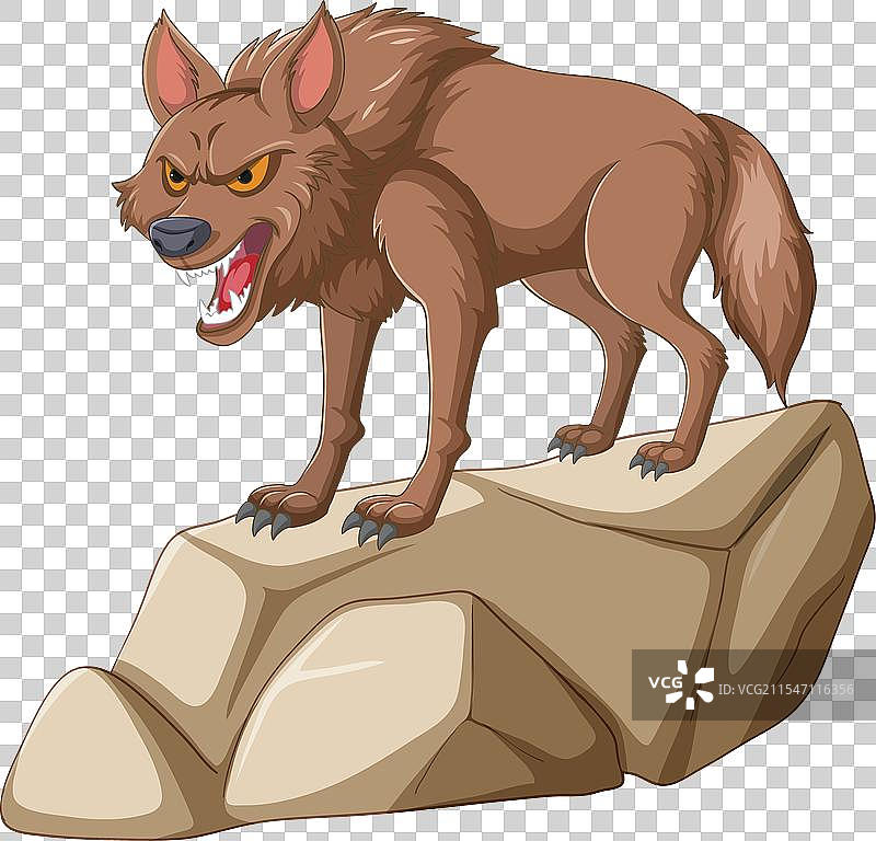 一只愤怒的狼在石头上图片素材