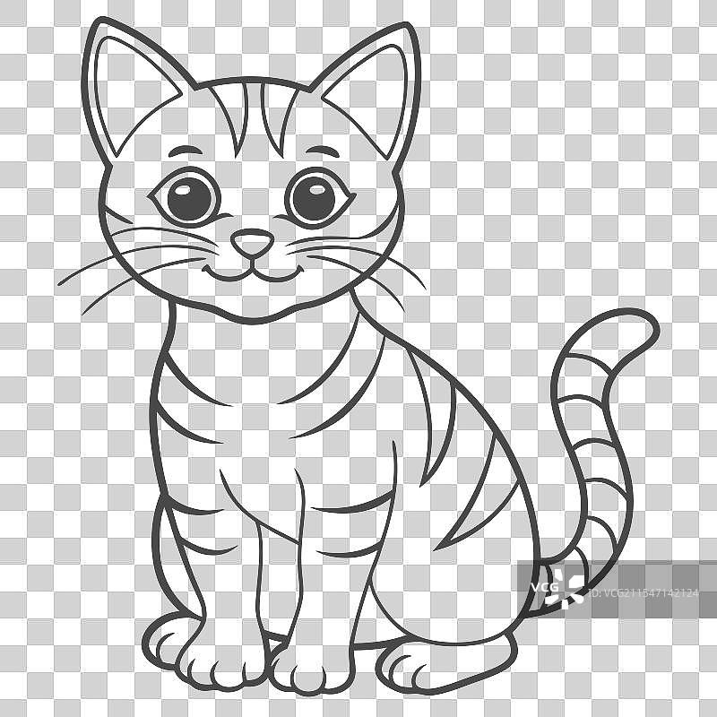 动物多样性快速指南图片素材