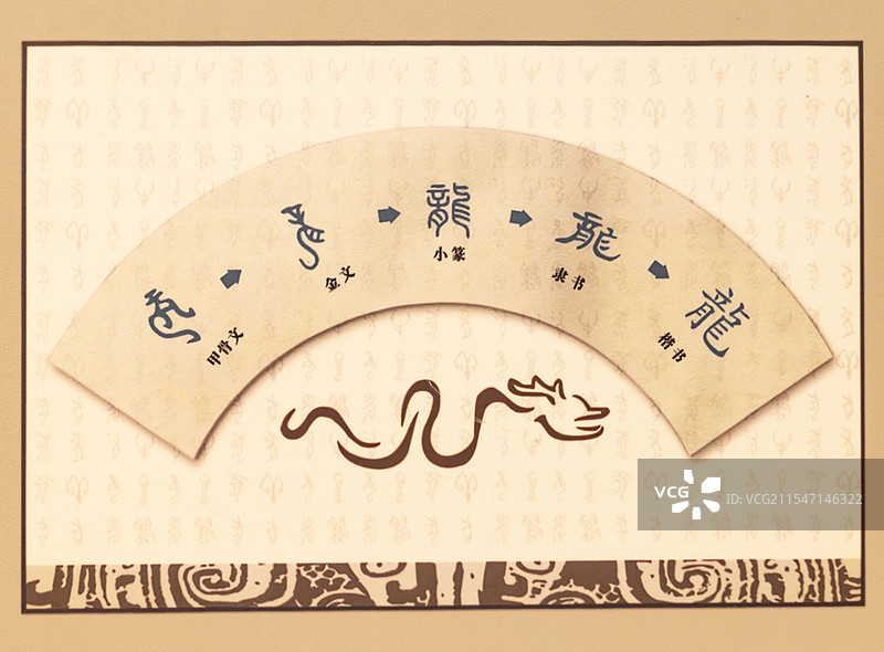 汉字龙的演变 甲骨文 金文 小篆 隶书 楷书 中国文字博物馆图片素材