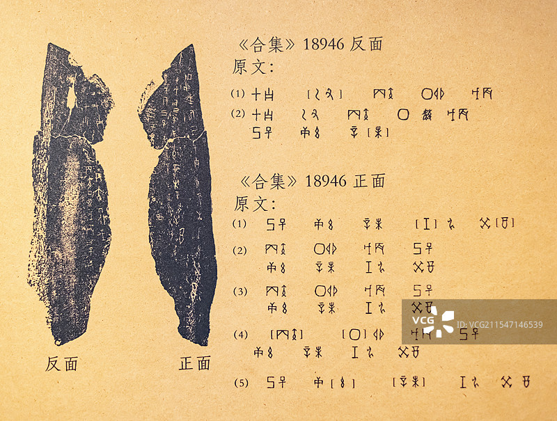 干支表刻辞 《合集》18946反面 中国文字博物馆图片素材