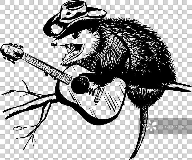 负鼠资产图片素材