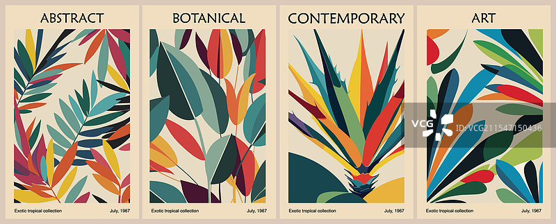 一组复古风格的抽象植物海报图片素材