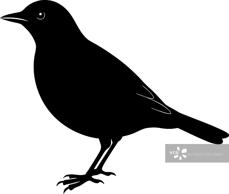 黑鸟剪影图片素材
