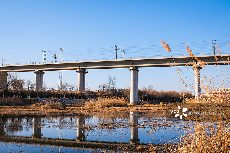 高铁铁路桥高架桥芦苇冬日河道岸边芦苇荡枯黄色的山水水面倒影图片素材