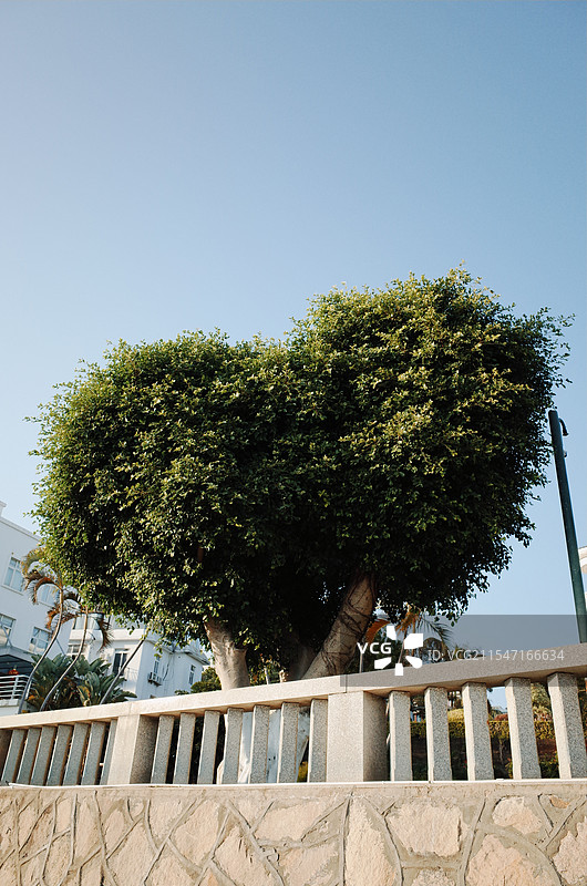 厦门环岛路沙滩旁的心形植物树木图片素材