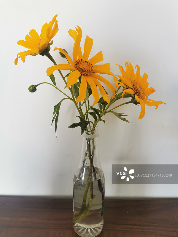 瓶插的黄色花图片素材