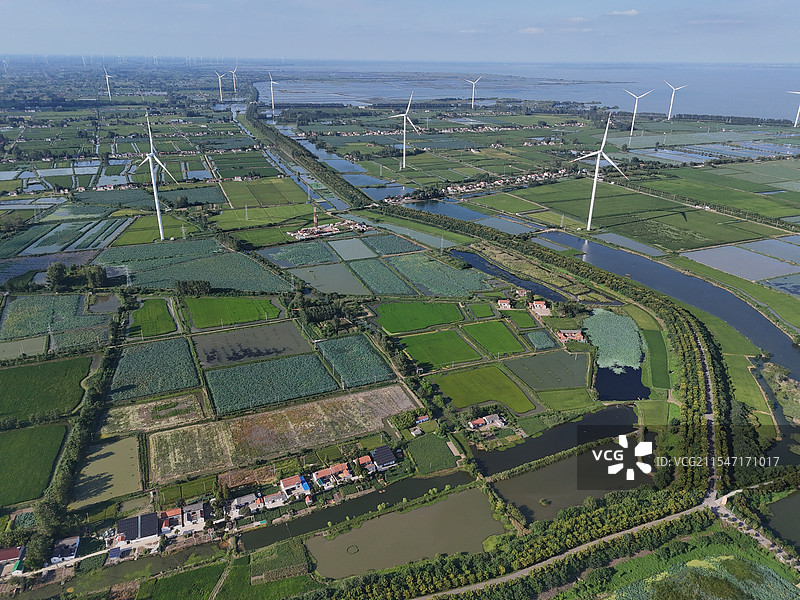 江苏淮安：金湖县的农田和荷花荡风光图片素材