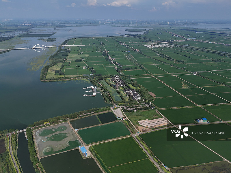 江苏淮安：金湖县的农田和自然风光图片素材