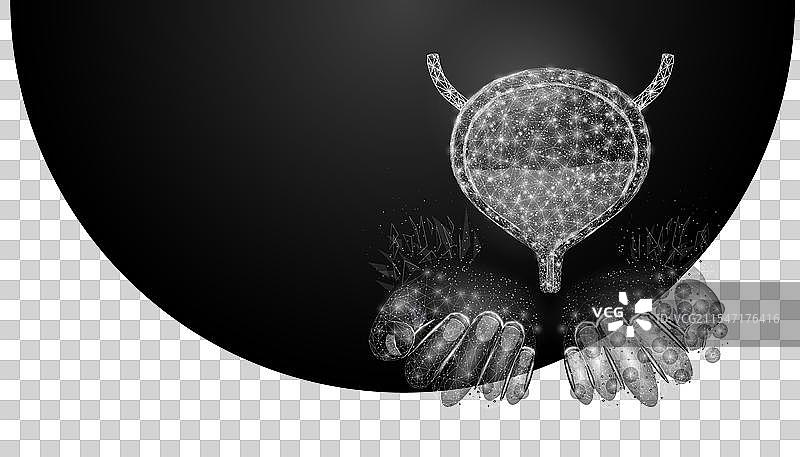 两只人手握着人类膀胱的医学模型图片素材