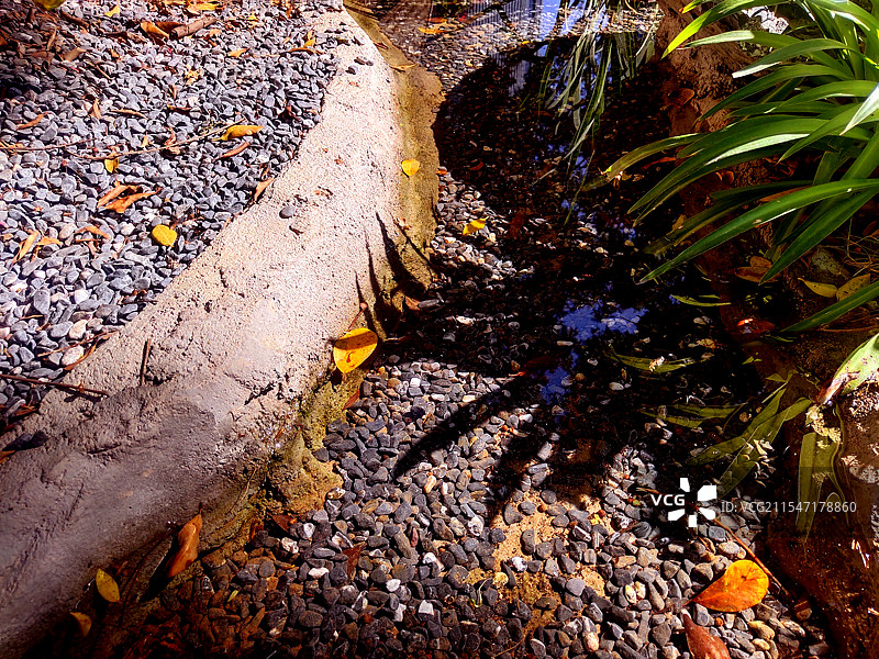 城市风情摄影作品图片素材