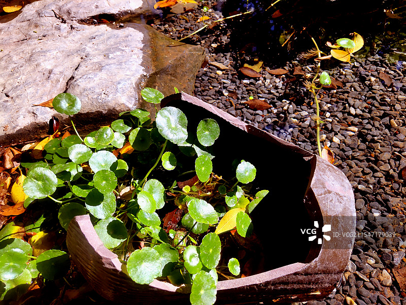 城市风情摄影作品图片素材