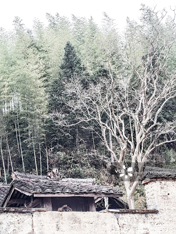 乡村老房子图片素材