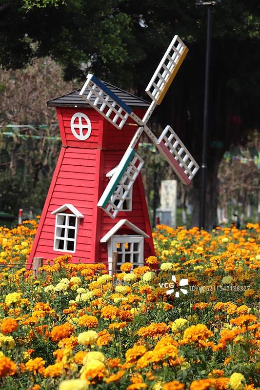 春天花海佛山顺德顺峰山公园图片素材