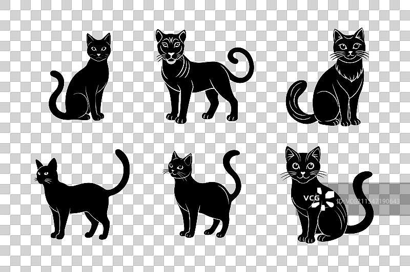 猫品种剪影图标集图片素材