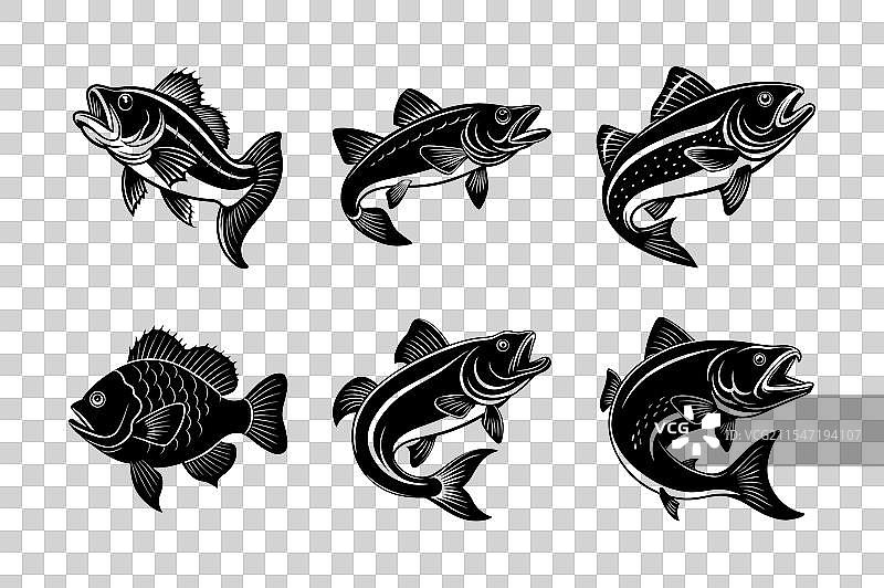 鱼的轮廓图标合集图片素材