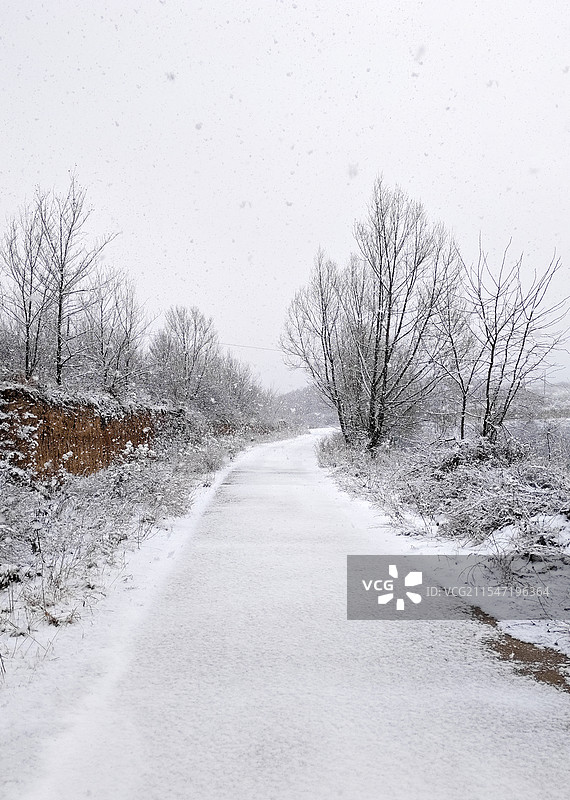 大雪纷飞图片素材