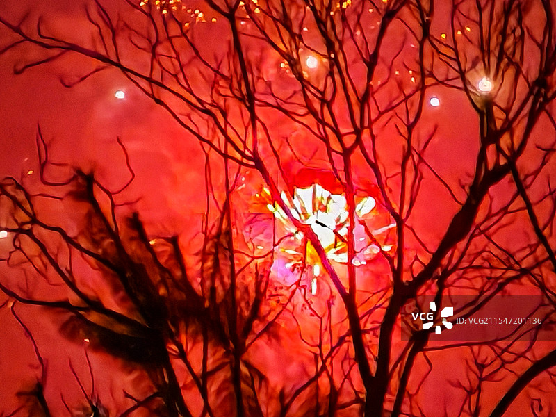 火树银花（烟花）图片素材