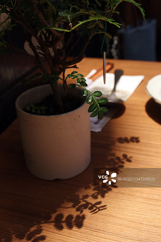 餐桌上的绿植装饰图片素材