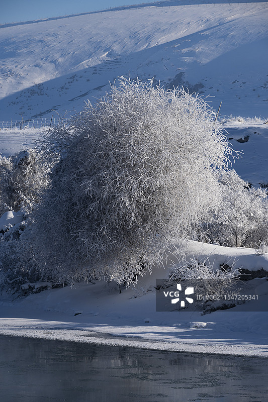 特克斯河雾凇图片素材