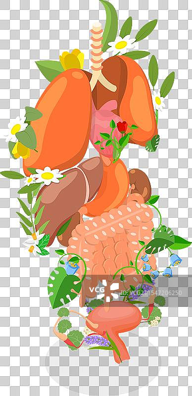 人类的三维等距平面图图片素材