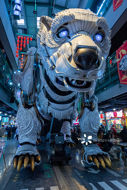 熊洞街熊北北图片素材