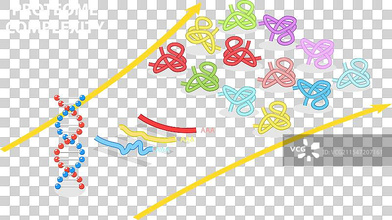 蛋白质组的三维等距平面图图片素材