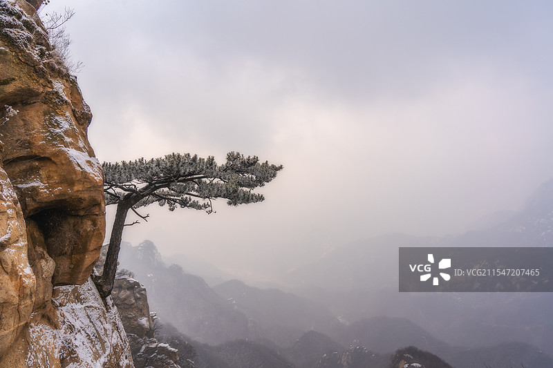 桃源仙谷孤松雪中立图片素材