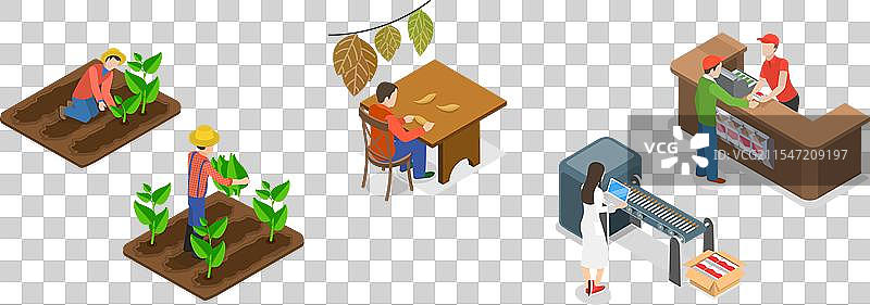 烟草的三维等距平面图图片素材