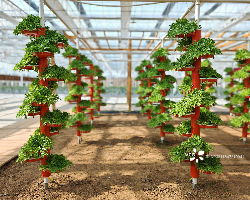 智慧农业种植蔬菜图片素材