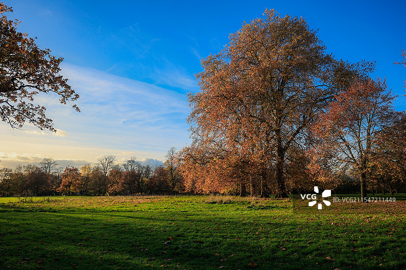 英国伦敦海德公园图片素材