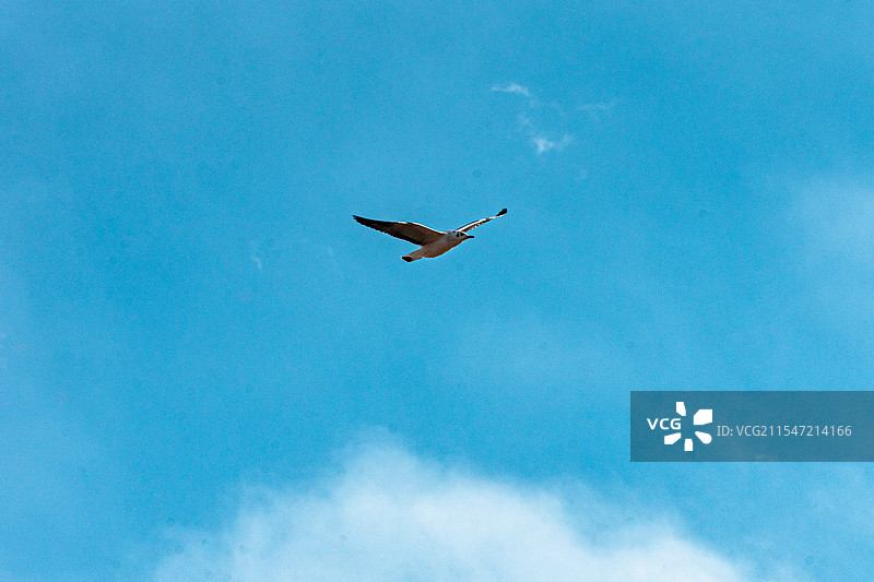 西昆仑·阿什库勒盆地图片素材