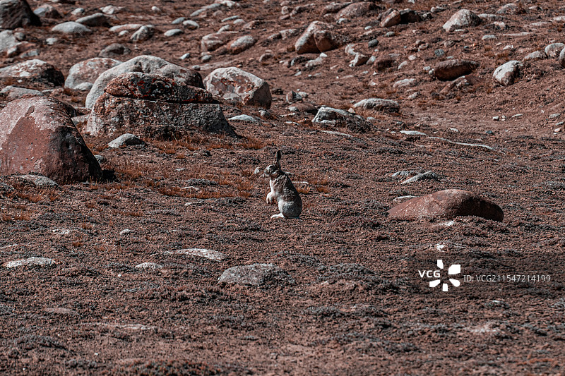 西昆仑·阿什库勒盆地图片素材