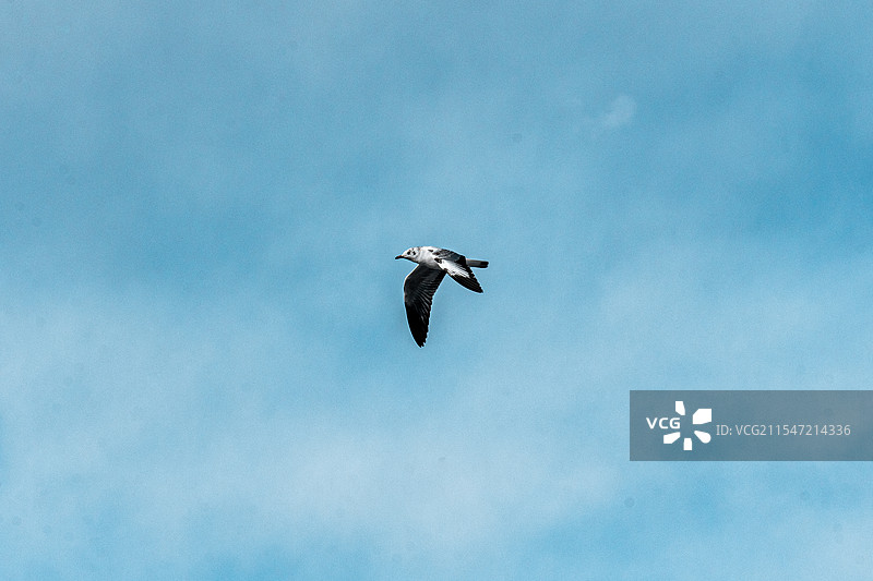 西昆仑·阿什库勒盆地图片素材