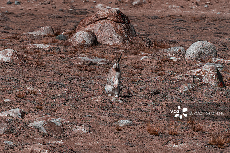 西昆仑·阿什库勒盆地图片素材